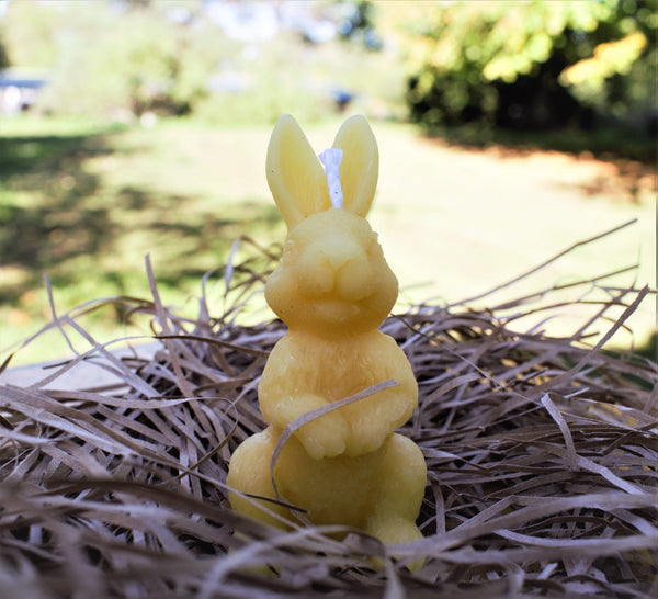 Bunny Candle